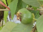 DSC06159