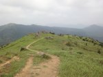 DSC06294