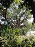 DSC06305