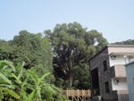DSC06312