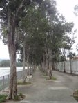 DSC06594