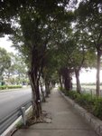 DSC06600