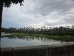 DSC06601