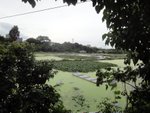DSC06613