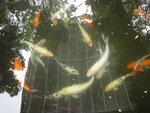 DSC06615