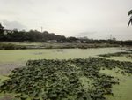 DSC06617