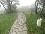 IMG_2795