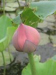 IMG_2847