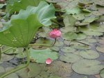 IMG_2848