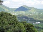 DSC07331