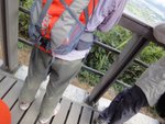 DSC07334