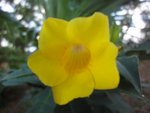 DSC07337