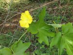 DSC07408