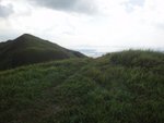 DSC07429