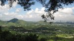 IMG_3649