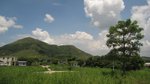 IMG_3784