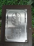 RIMG4510