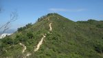 IMG_6238_cr