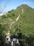 IMG_6239