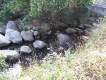 IMG_0734