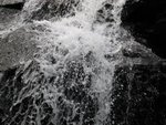 IMG_0743