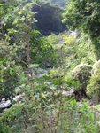 IMG_0745