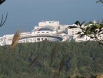 IMG_0750