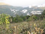 IMG_0760