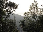 IMG_0761