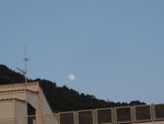 IMG_0768