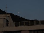 IMG_0769