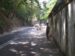 RIMG0856
