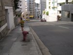 RIMG0874