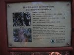 IMG_0840
