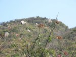 IMG_1450
