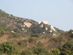 IMG_1458