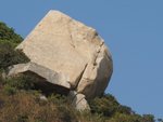 IMG_1460