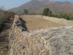 IMG_1481