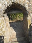 IMG_1486