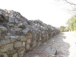 IMG_1487