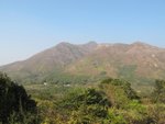 IMG_1489