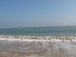 IMG_1503