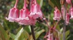 IMG_2925_cr