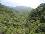 IMG_2935