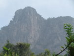 IMG_0320