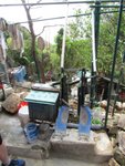 IMG_0329