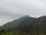 IMG_0803