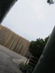 IMG_1982