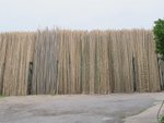 IMG_1984
