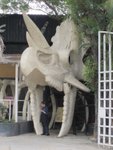 IMG_1985